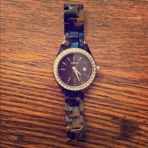 Tortoise Fossil Watch
